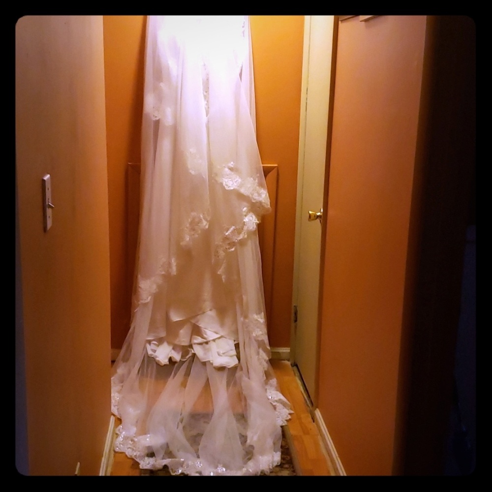 Wedding dress with long veil
